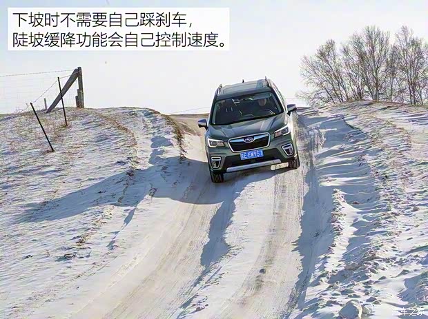 斯巴鲁 森林人 2019款 2.0i 智擎旗舰版EyeSight 斯巴鲁 森林人 2019款 2.0i 智擎旗舰版EyeSight