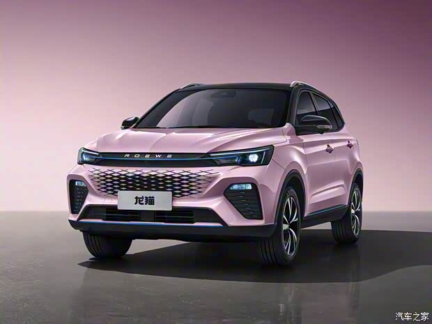 上汽集團(tuán) 龍貓 2022款 1.5L 靈動(dòng)貓貓版