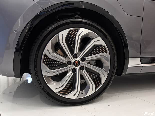 一汽红旗 红旗E-HS9 2020款 基本型