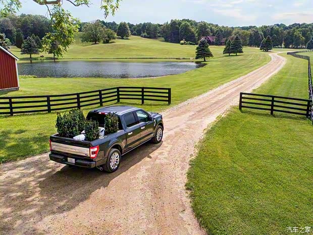 福特(進(jìn)口) 福特F-150 2021款 基本型