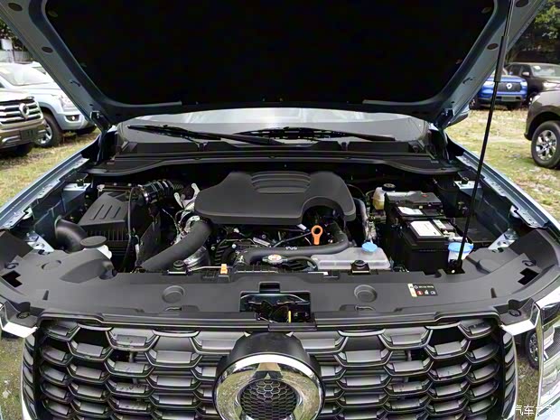 長城汽車 金剛炮 2022款 2.0T手動柴油四驅(qū)精英型標(biāo)箱GW4D20M