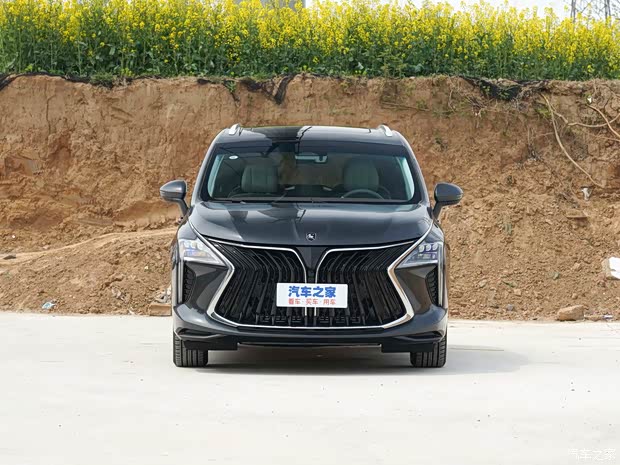 东风风行 风行·游艇 2022款 尊享型