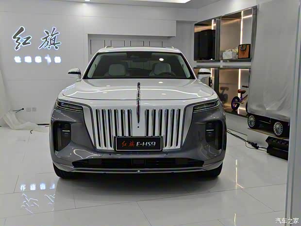 一汽红旗 红旗E-HS9 2020款 基本型
