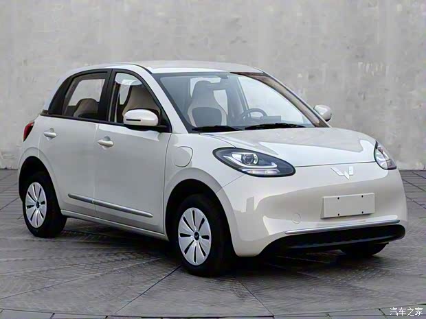 上汽通用五菱 五菱缤果 2023款 基本型 上汽通用五菱 五菱缤果 2023款 基本型