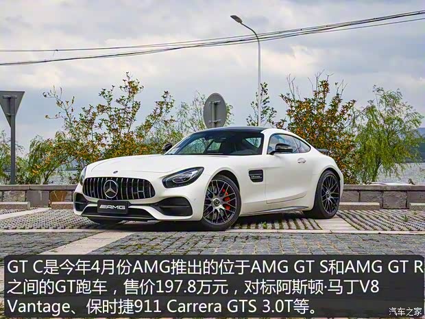 梅賽德斯-AMG AMG GT 2018款 AMG GT C 中國(guó)特別版