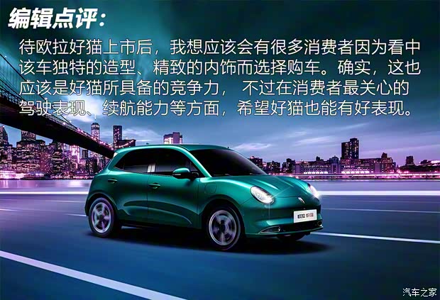 长城汽车 欧拉好猫 2020款 基本型