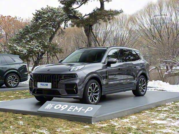 领克 领克09新能源 2024款 2.0TD EM-P PRO 七座