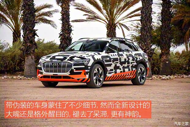 奥迪(进口) 奥迪e-tron 2018款 Prototype