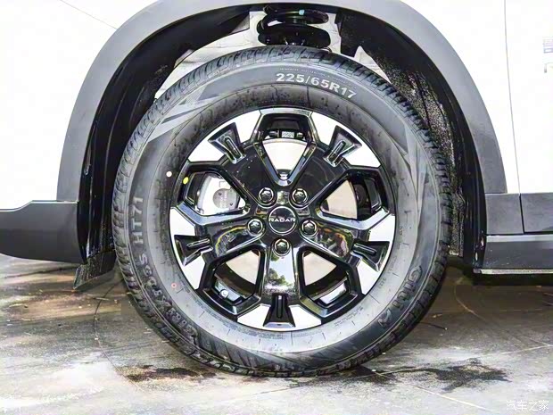 雷达汽车 雷达RD6 2022款 标准型 雷达汽车 雷达RD6 2022款 标准型