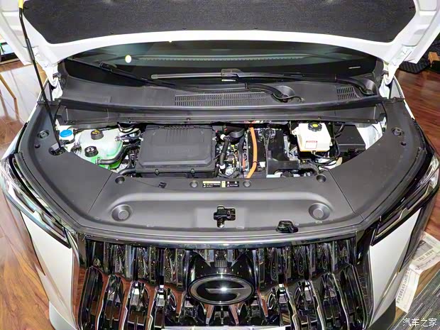 廣汽乘用車 傳祺M8新能源 2024款 2.0TM 插電混動(dòng)基本型