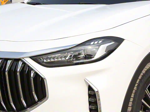 2025款 冠军版 1.5T DCT冠军MAX 7座 2025款 冠军版 1.5T DCT冠军MAX 7座