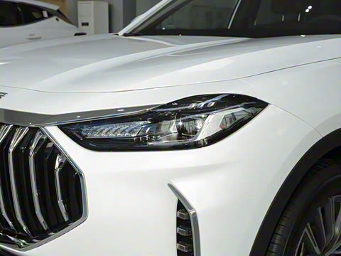 2025款 冠军版 1.5T DCT冠军MAX+ 7座 2025款 冠军版 1.5T DCT冠军MAX+ 7座