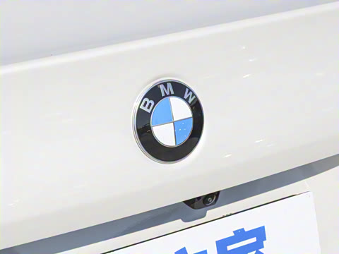 2025款 530Li 领先型 M运动套装 2025款 530Li 领先型 M运动套装