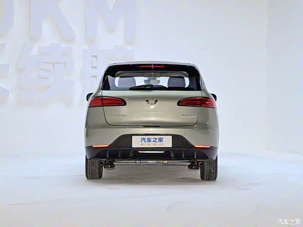 上汽通用五菱 五菱缤果PLUS 2024款 510km 旗舰版 上汽通用五菱 五菱缤果PLUS 2024款 510km 旗舰版