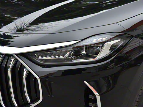 2025款 冠军版 1.5T DCT冠军MAX+ 5座 2025款 冠军版 1.5T DCT冠军MAX+ 5座