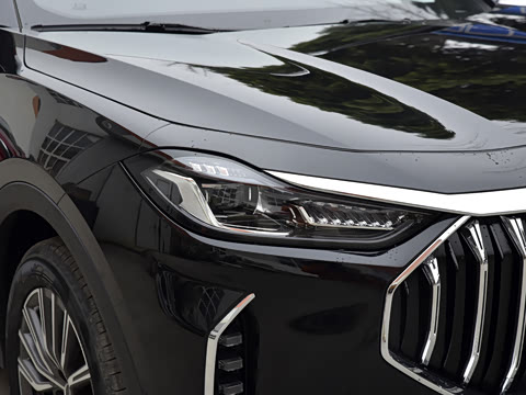 2025款 冠军版 1.5T DCT冠军MAX 5座 2025款 冠军版 1.5T DCT冠军MAX 5座