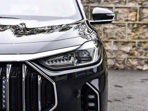 2025款 冠军版 1.5T DCT冠军PRO 7座 2025款 冠军版 1.5T DCT冠军PRO 7座