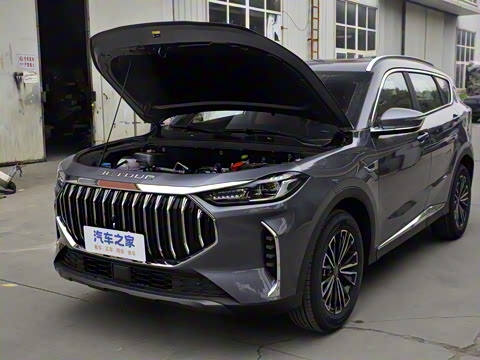 2025款 冠军版 1.5T 手动冠军 7座 2025款 冠军版 1.5T 手动冠军 7座