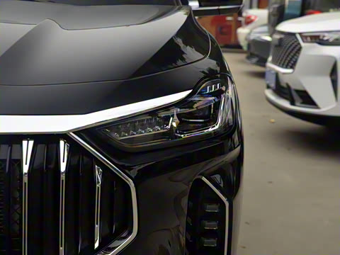 2025款 冠军版 1.5T DCT冠军PRO 5座 2025款 冠军版 1.5T DCT冠军PRO 5座