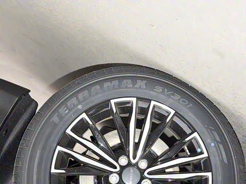 2025款 冠军版 1.5T 手动冠军 7座 2025款 冠军版 1.5T 手动冠军 7座