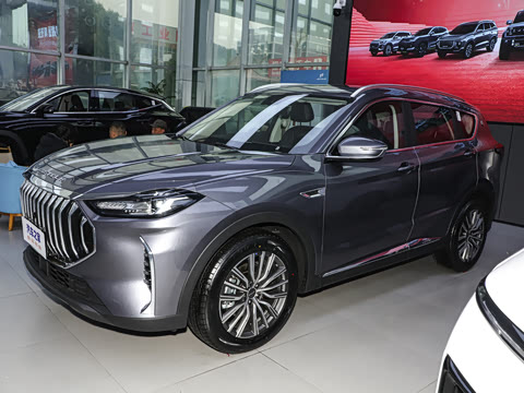 2025款 冠军版 1.5T DCT冠军MAX+ 7座 2025款 冠军版 1.5T DCT冠军MAX+ 7座