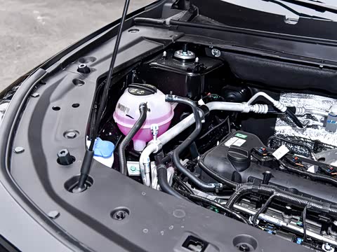 2025款 冠军版 1.5T DCT冠军PRO 7座 2025款 冠军版 1.5T DCT冠军PRO 7座