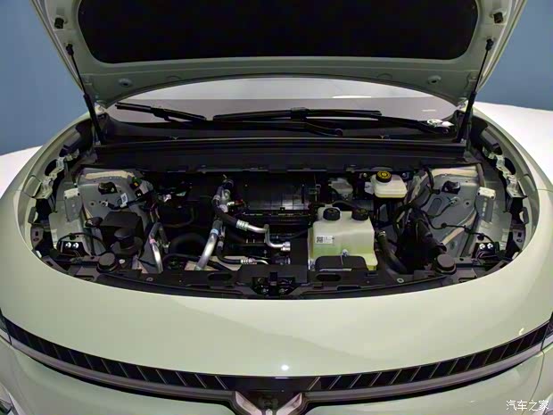 岚图汽车 岚图知音 2024款 单电机高功率 磷酸铁锂