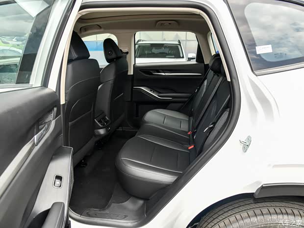 长城汽车 哈弗H6 2024款 2.0T 两驱Max