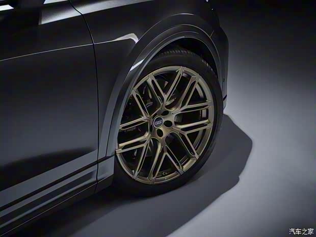 Audi Sport 奥迪RS Q8 2024款 RS Q8 欧洲版