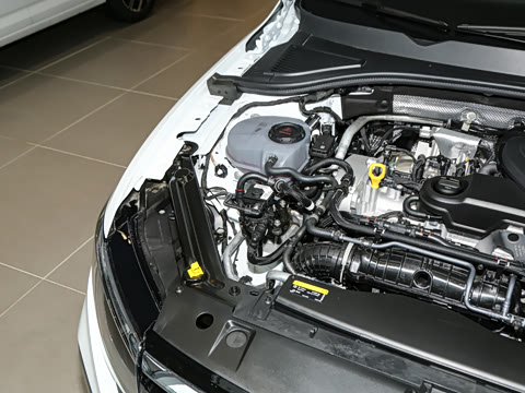 2025款 300TSI DSG尊行版 2025款 300TSI DSG尊行版