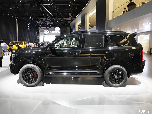 長城汽車 坦克500新能源 2024款 Hi4-T 黑武士版