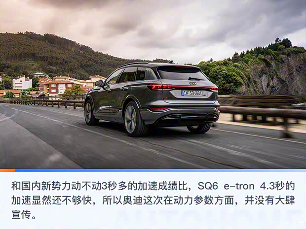 奧迪(進(jìn)口) 奧迪SQ6 e-tron 2024款 基本型