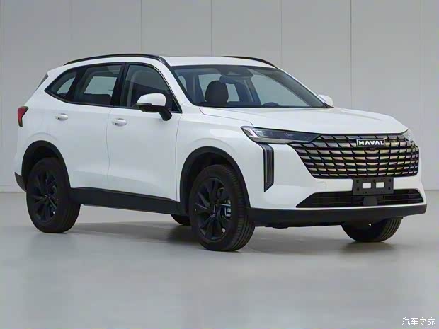 長城汽車 哈弗H6新能源 2024款 Hi4 基本型