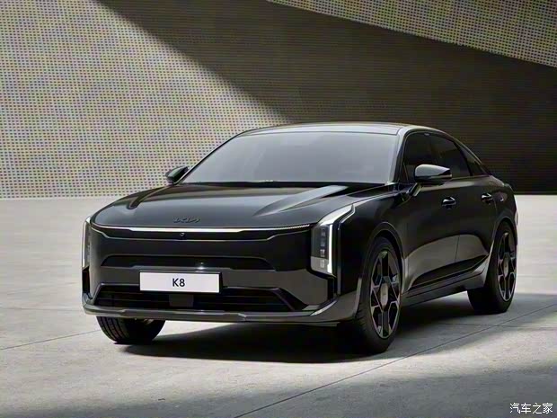 起亞(進(jìn)口) 起亞K8 2025款 基本型