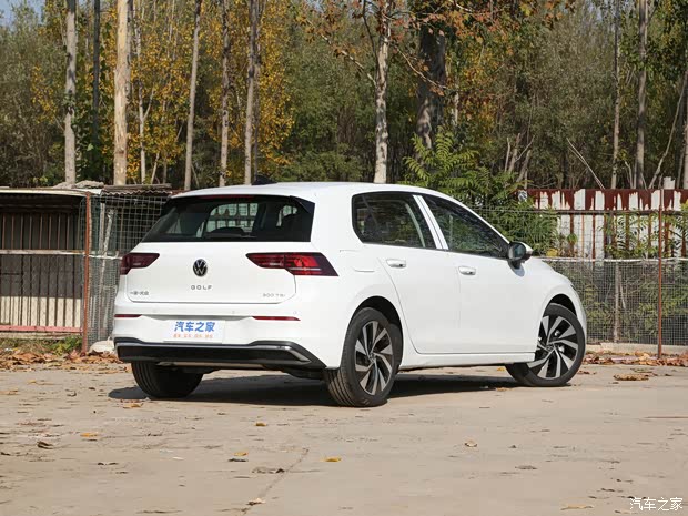 一汽-大众 高尔夫 2025款 300TSI Pro 基本型