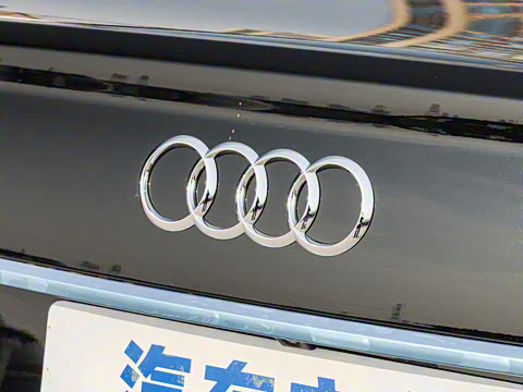 2025款 40 TFSI 豪华动感型 2025款 40 TFSI 豪华动感型