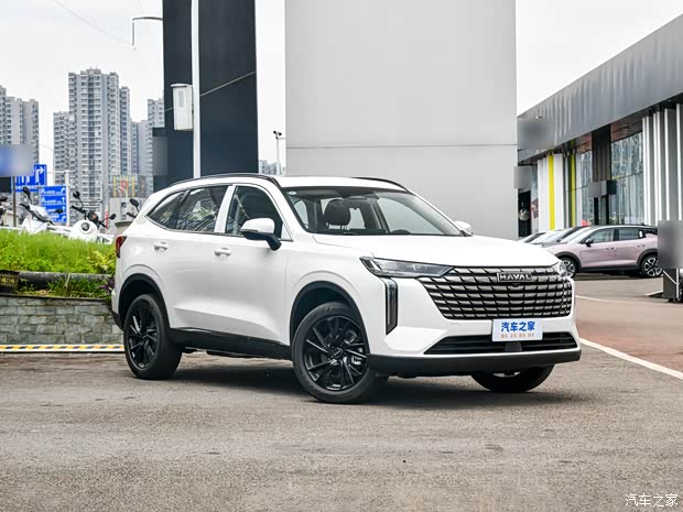 长城汽车 哈弗H6 2024款 2.0T 两驱Max 长城汽车 哈弗H6 2024款 2.0T 两驱Max