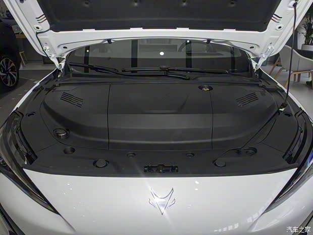 北汽新能源 极狐 阿尔法S5 2024款 560MAX 185kW