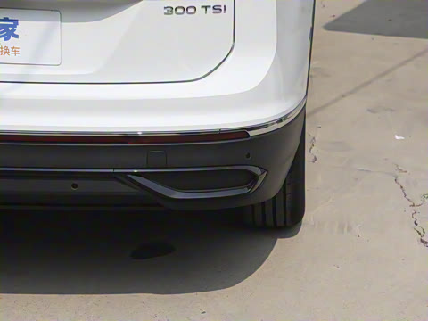 2024款 出众款 300TSI 自动两驱龙行版 2024款 出众款 300TSI 自动两驱龙行版
