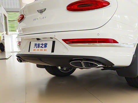 2024款 4.0T V8 雅度版 2024款 4.0T V8 雅度版