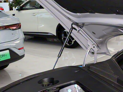 2025款 DM-i 智驾版 245KM尊荣型 2025款 DM-i 智驾版 245KM尊荣型