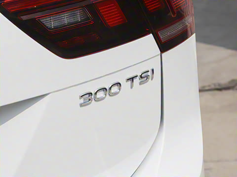 2024款 出众款 300TSI 自动两驱龙行版 2024款 出众款 300TSI 自动两驱龙行版