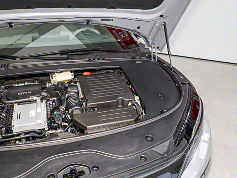 2025款 DM-i 智驾版 245KM尊荣型 2025款 DM-i 智驾版 245KM尊荣型