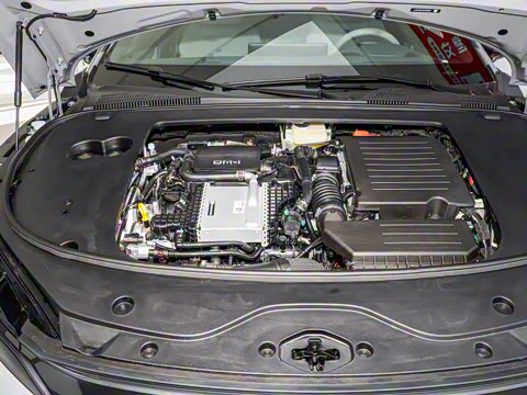 2025款 DM-i 智驾版 245KM尊荣型 2025款 DM-i 智驾版 245KM尊荣型