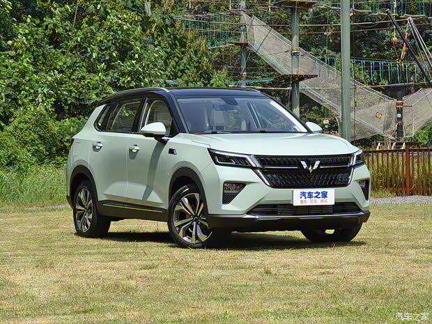 上汽通用五菱 五菱星辰 2021款 基本型 上汽通用五菱 五菱星辰 2021款 基本型