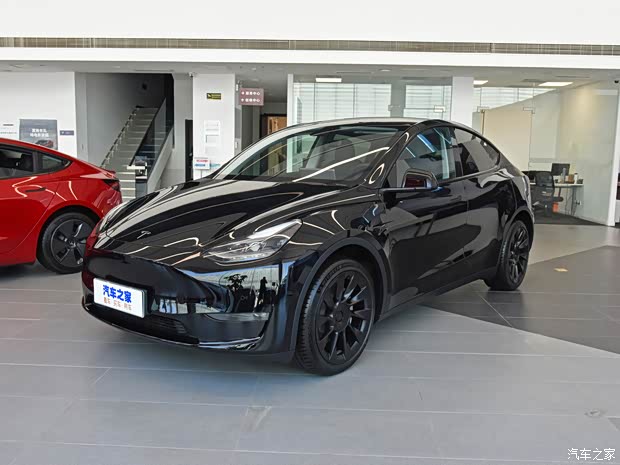 特斯拉中国 Model Y 2021款 标准续航后驱版
