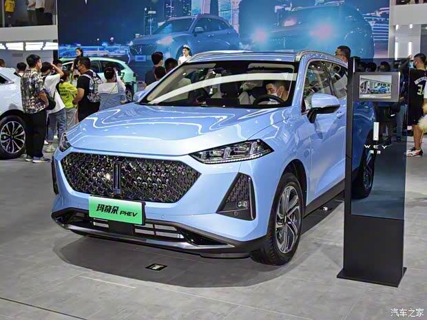 长城汽车 玛奇朵新能源 2021款 基本型 长城汽车 玛奇朵新能源 2021款 基本型