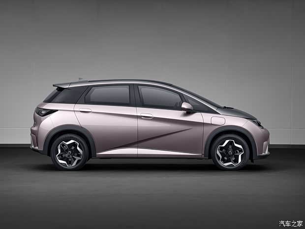 比亚迪 海豚 2021款 基本型 比亚迪 海豚 2021款 基本型