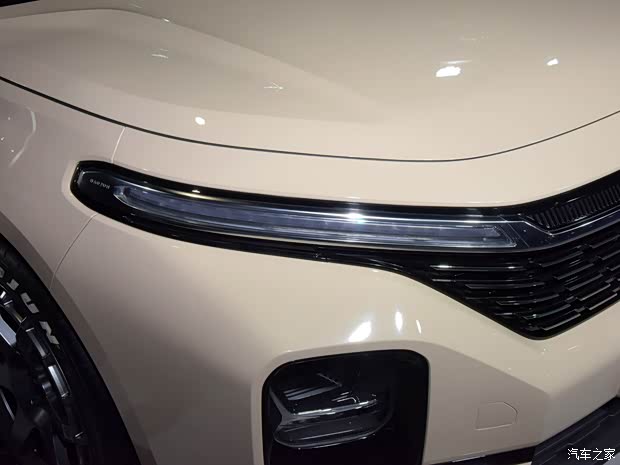 上汽通用五菱 新寶駿Valli 2021款 狂想家