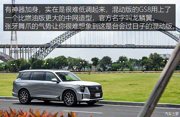 廣汽乘用車 傳祺GS8 2022款 2.0TM 混動兩驅(qū)尊貴版 （七座）